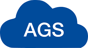 AGS IT-partner